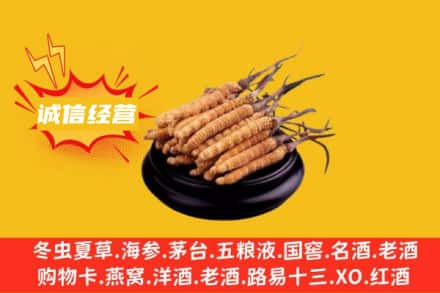 日喀则萨嘎县回收冬虫夏草